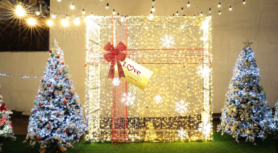 2025 함평 겨울빛축제