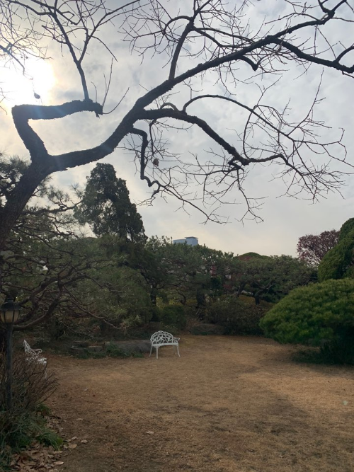 시현하다