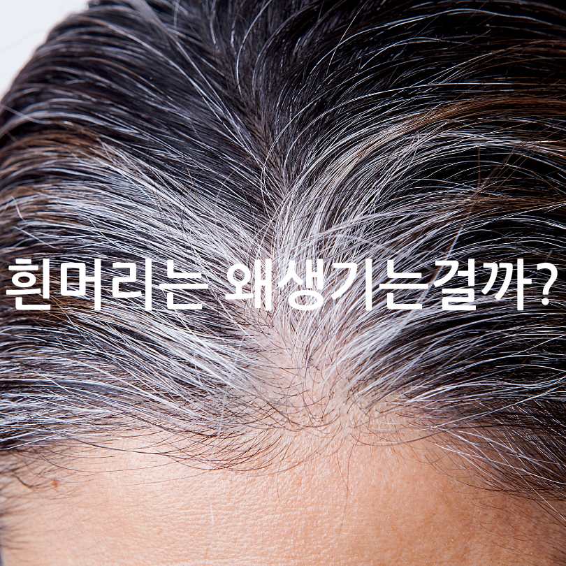산성 독소가 노화와 체중에 끼치는 악영향