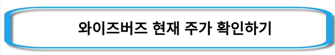 틱톡-관련주