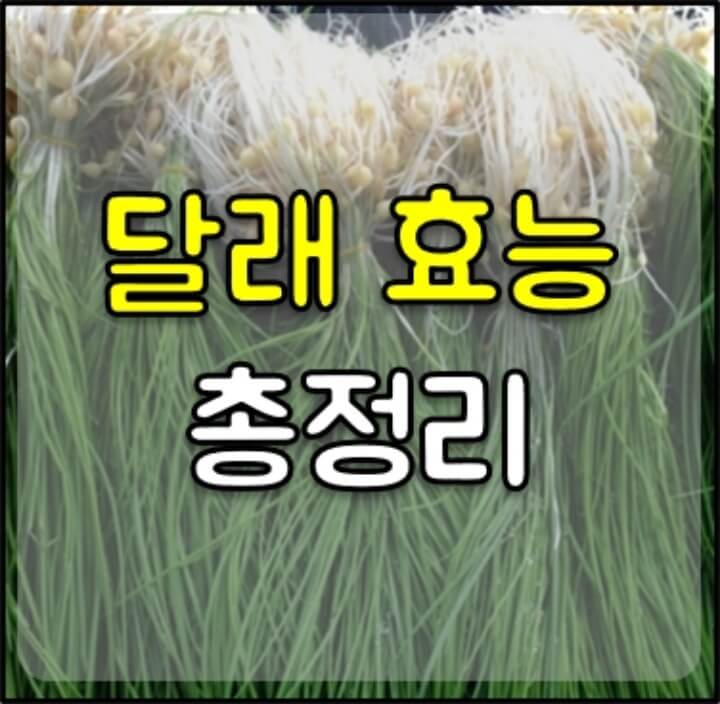 달래-효능-썸네일