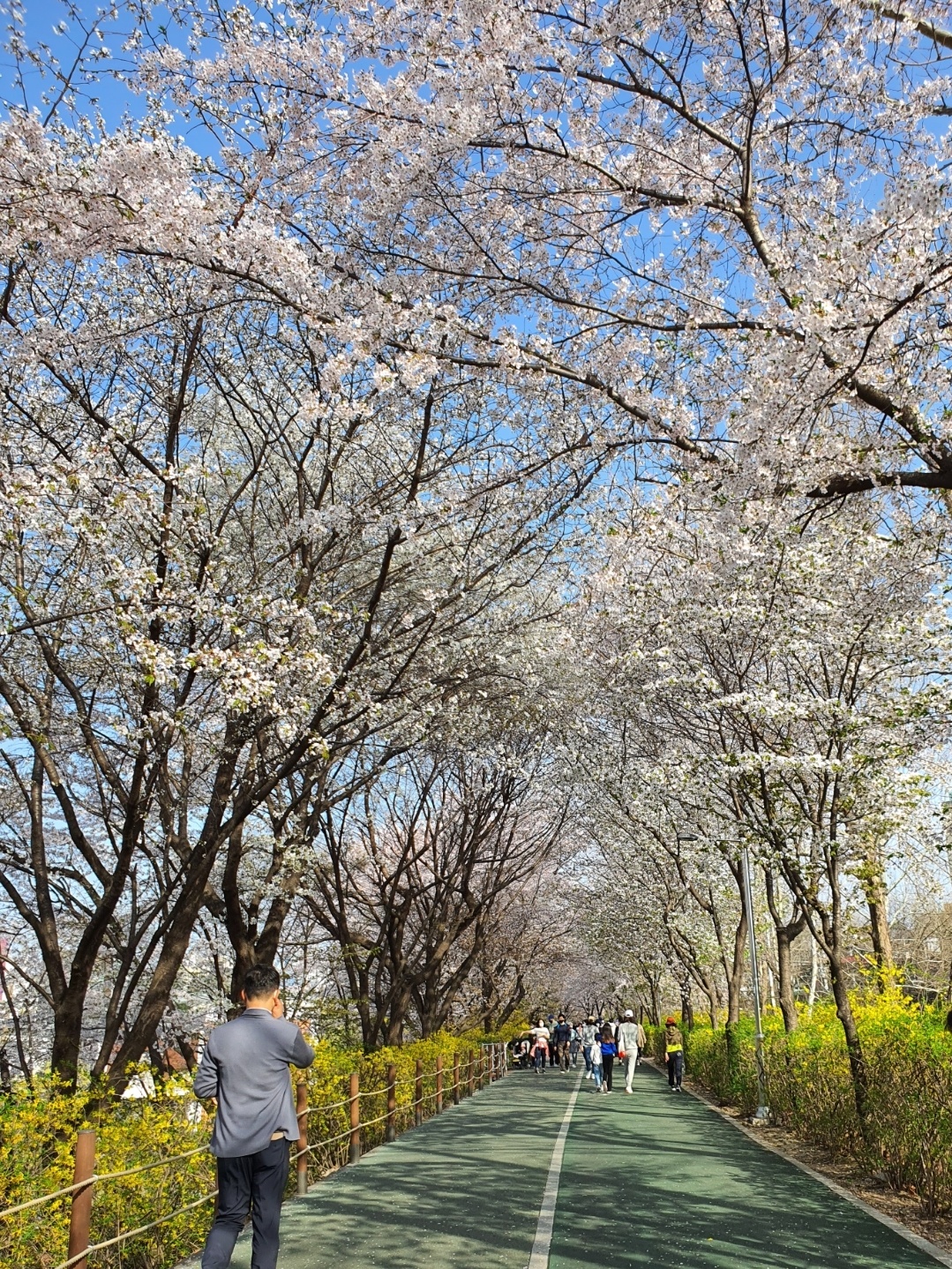 반포 피천득산책로