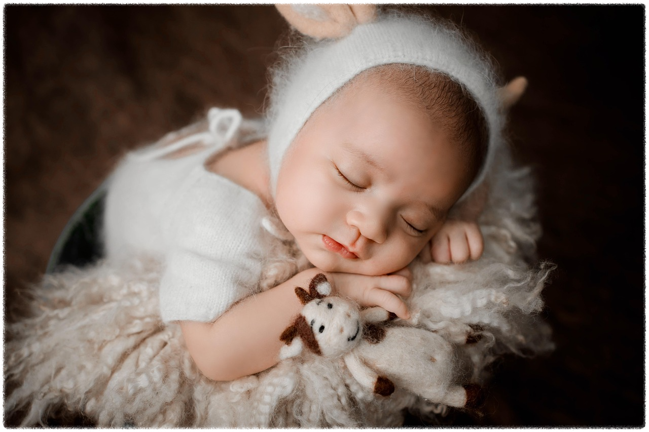 자주 묻는 질문 안내 이미지3