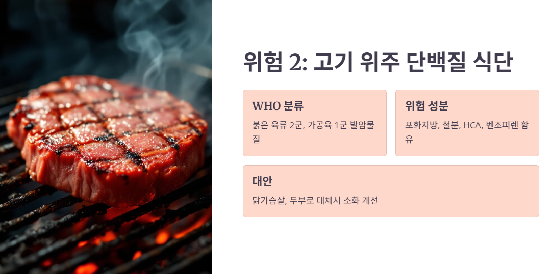 위험 2: 고기 위주 단백질 식단
