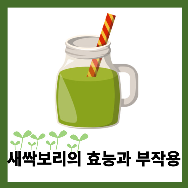 새싹보리 음료