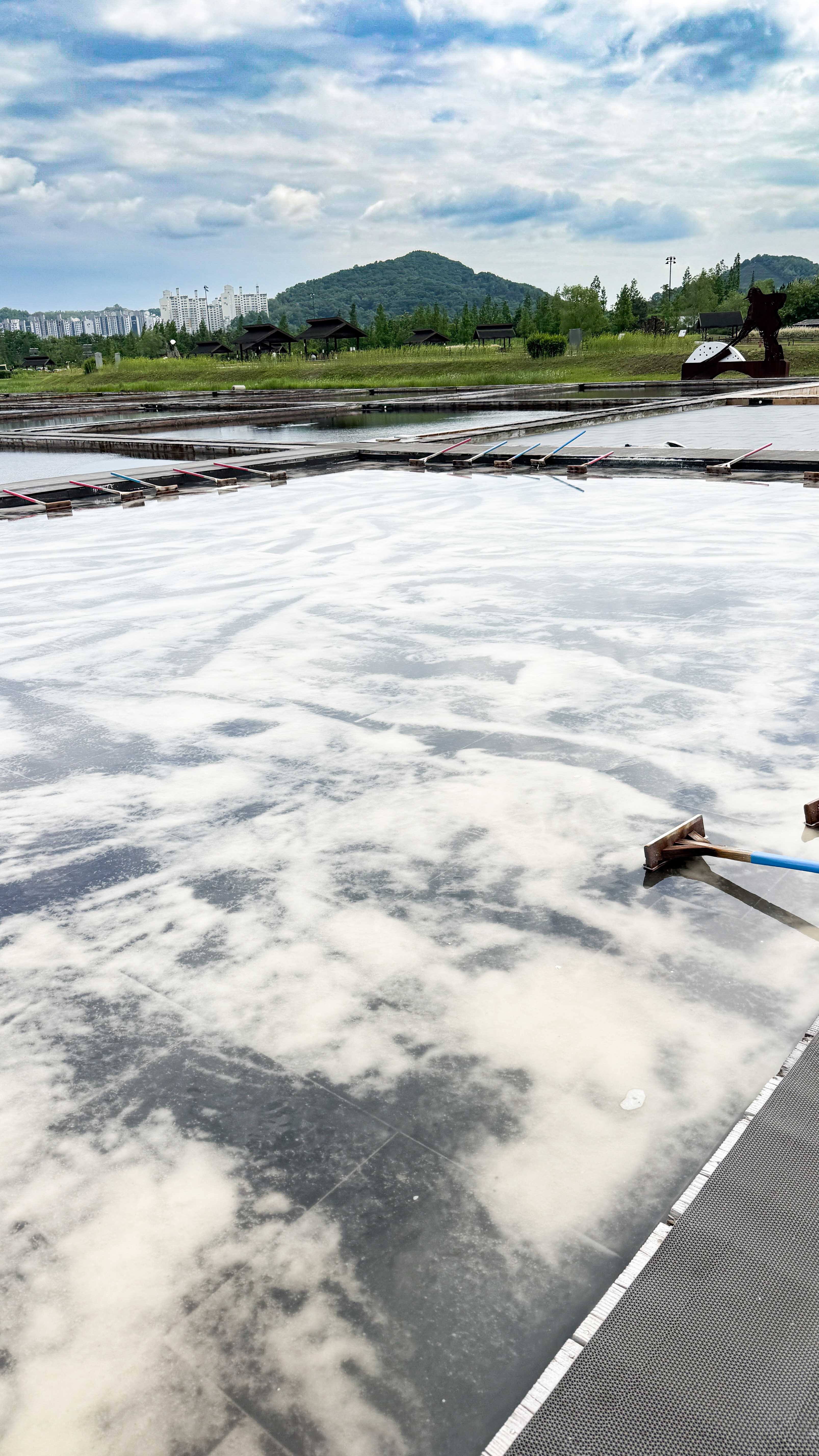 시흥갯골생태공원_염전체험