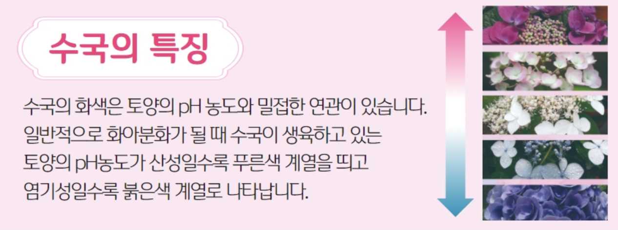 아침고요수목원