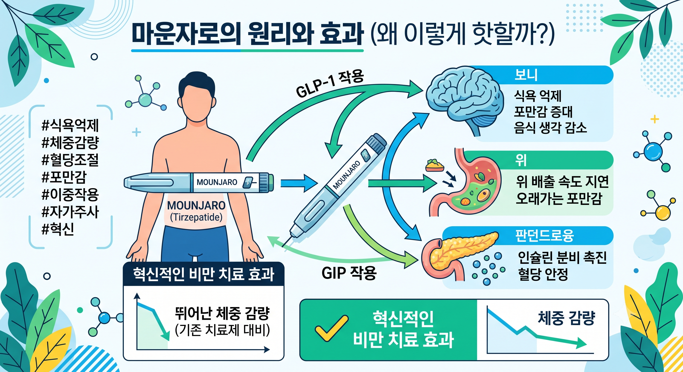 마운자로의 원리와 효과