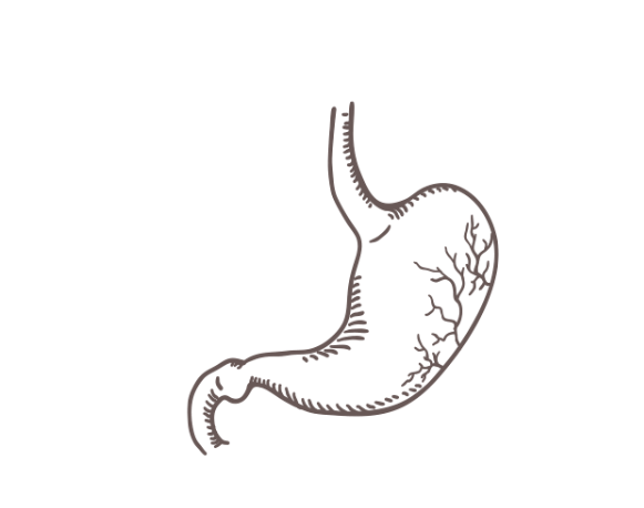 소화&amp;#44; 식도염&amp;#44; 위 건강에 좋은 트루포뮬러 위톱 - 효과&amp;#44; 부작용
