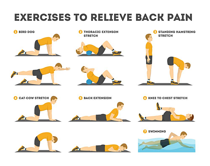 허리 아플때 운동 : 좋은 코어 등운동은 뭘까? 자세는?