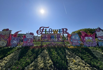 용인 에버랜드 장미축제3