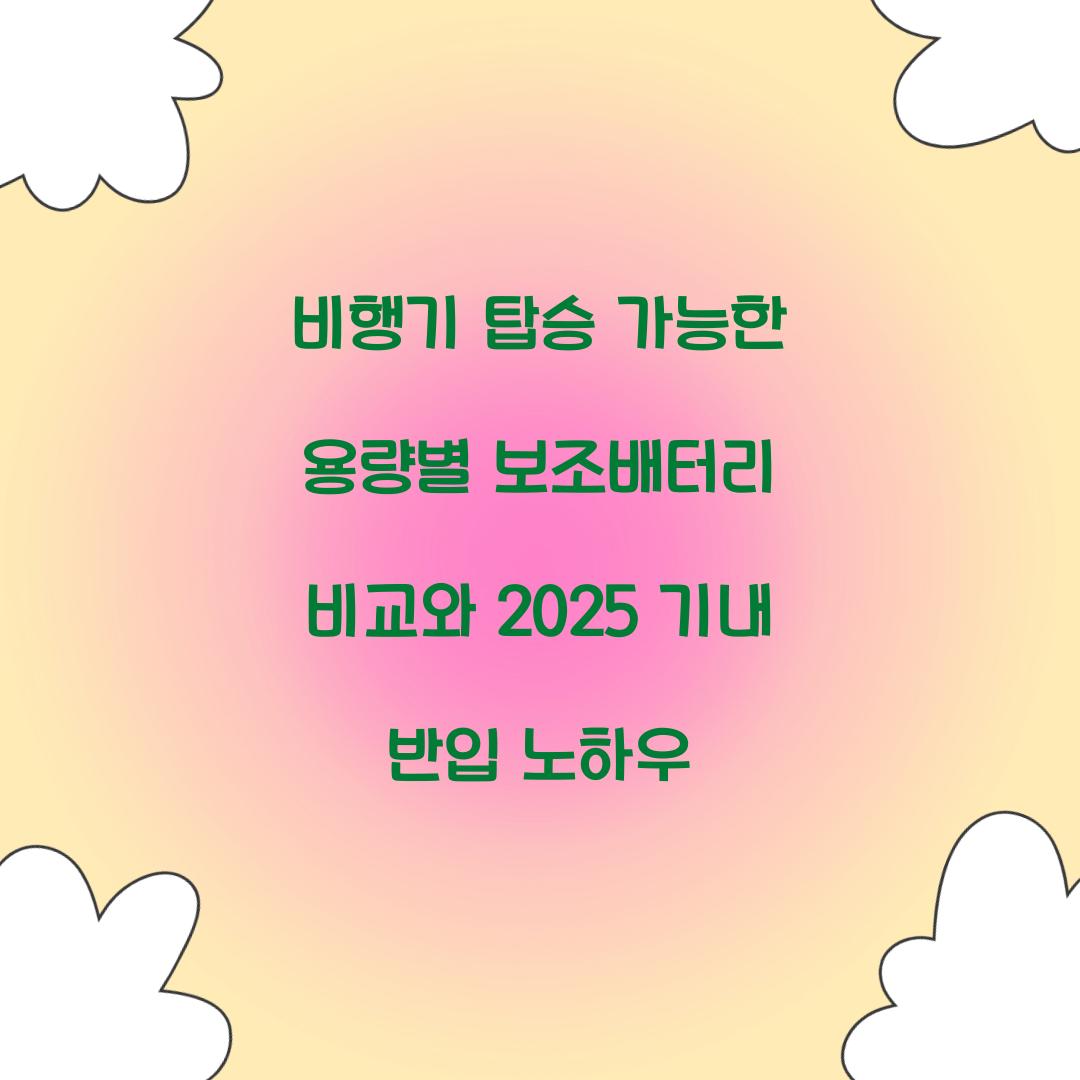 비행기 탑승 가능한 용량별 보조배터리 비교