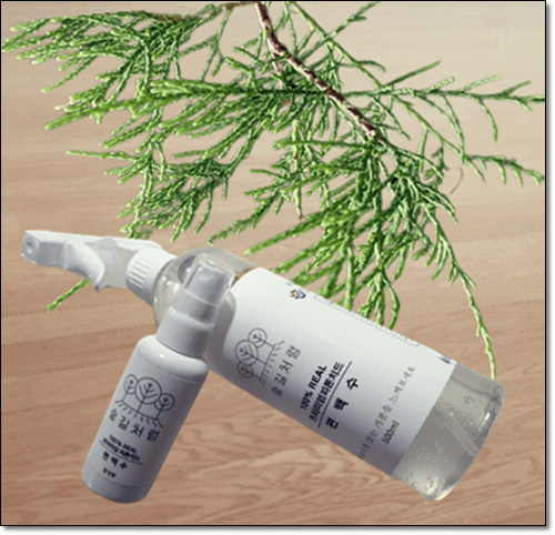 편백잎과 편백수