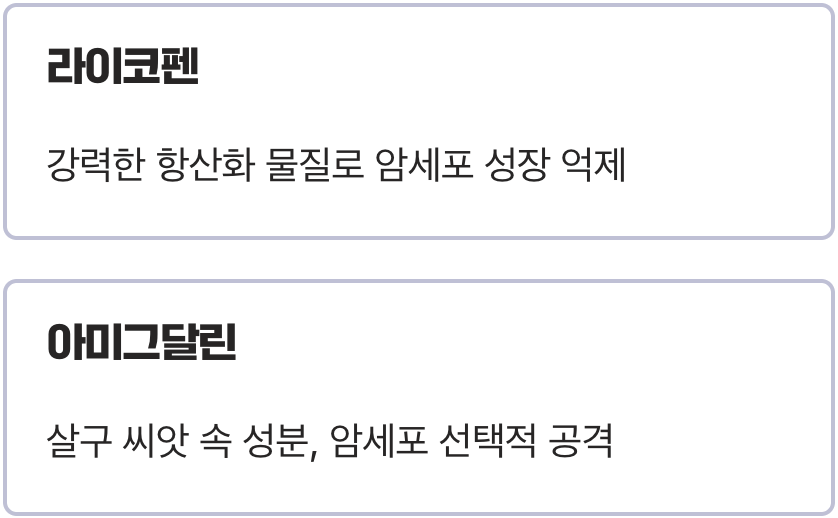 3. 암세포에 맞서는 '라이코펜'과 '아미그달린'