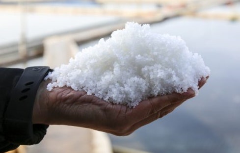 소금물 소금차 소금종류 천일염 암염 히말라야소금 말돈소금 말돈 인산죽염 삼보죽염 9회죽염 개암죽염 구전죽염