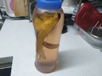 바나나물 효능 원리 부작용_6