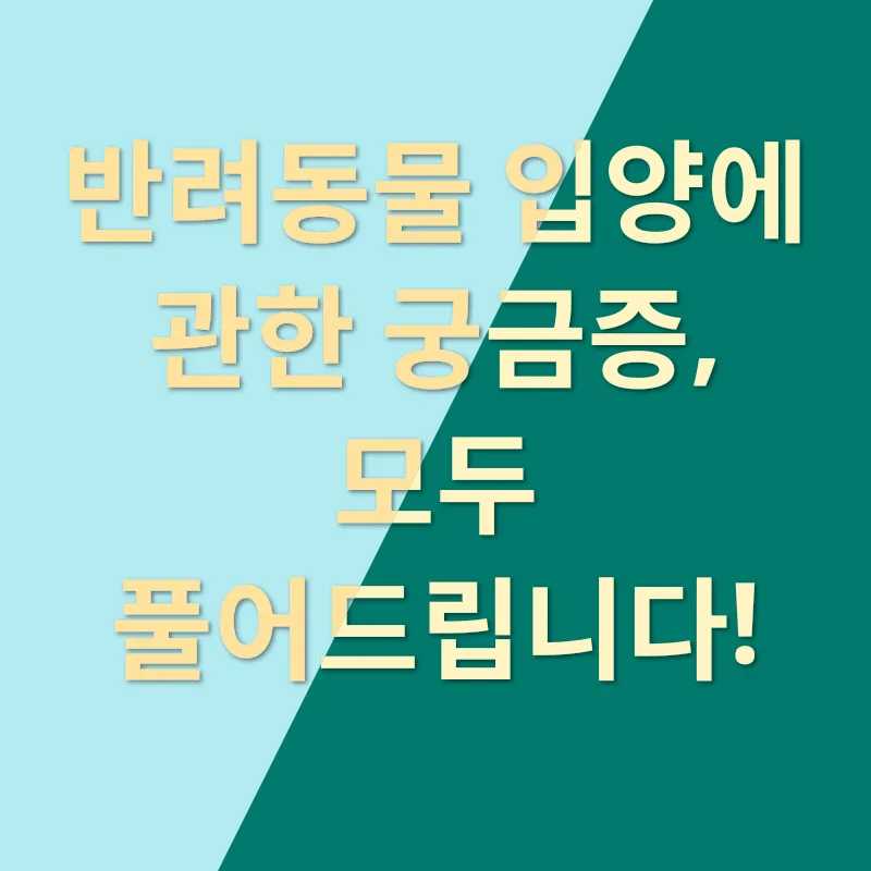 반려동물 입양_4
