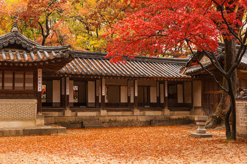 2023 단풍여행 시기 지역별 명소