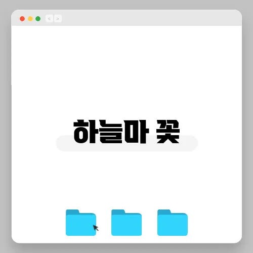 하늘마 꽃