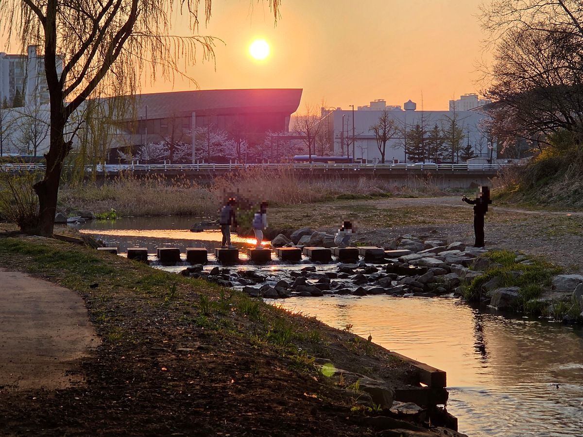 인천 벚꽃 명소 굴포천: 청리단길 꼭 가봐야 할 사계절 감성 산책로