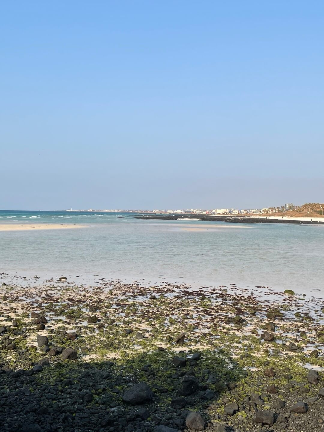 제주도 항공권 싸게 사는 방법