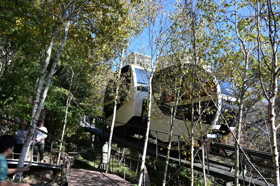 화담숲-예약-방법-2025년-최신-입장료-완벽-가이드