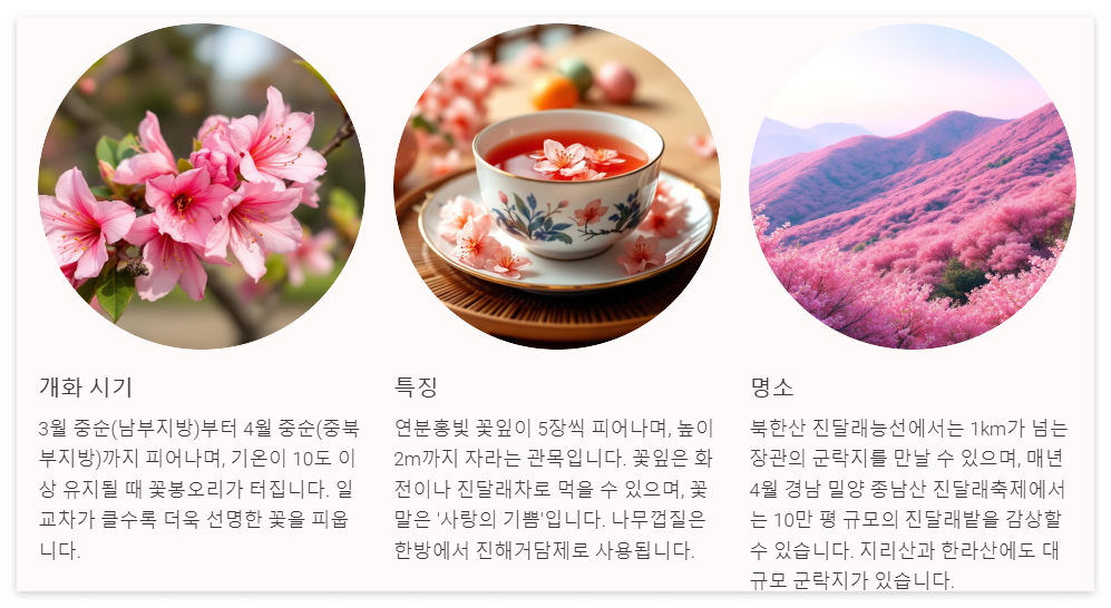 진달래