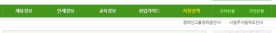정부의 장애인 고용 지원 정책과 장려금 안내 페이지