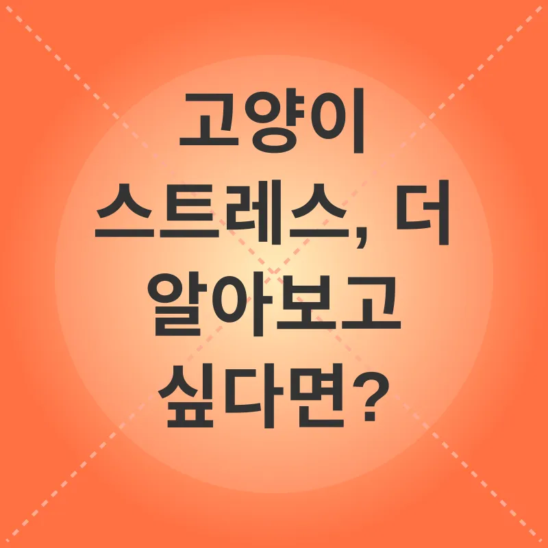 고양이 스트레스 관리_3