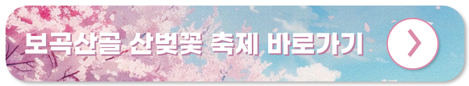 금산 보곡산골 산벚꽃 축제