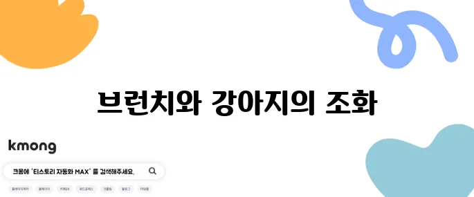 화성 동탄 애견 동반 카페 맨션1102에서 맛있는 브런치를 즐겨보세요!