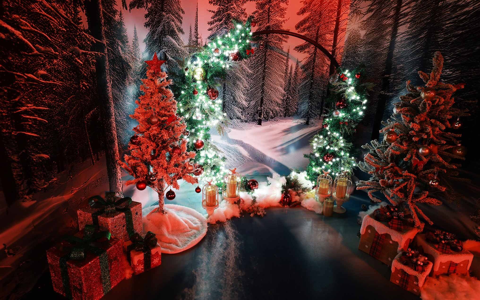 2025 함평 겨울빛축제