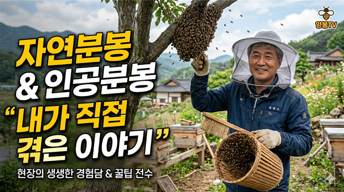 자연분봉과 인공분봉, 내가 직접 겪은 이야기