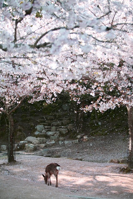 화담숲 홈페이지 예약