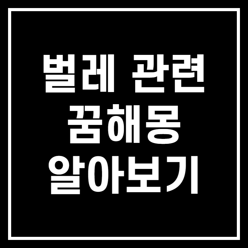 벌레 나오는 꿈 썸네일