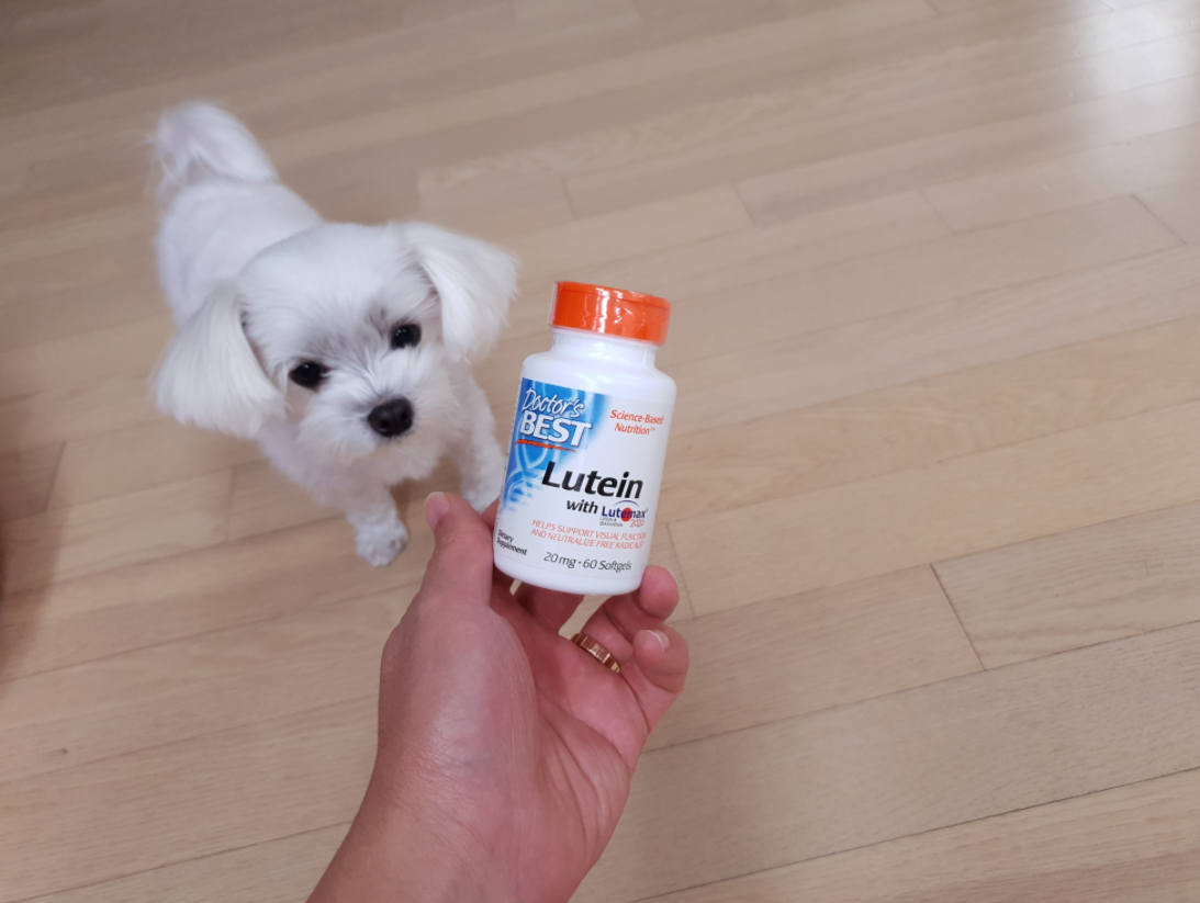 루테인지아잔틴 영양제