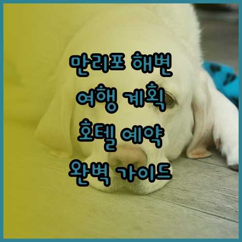 만리포 해수욕장 여행 계획 호텔 예약