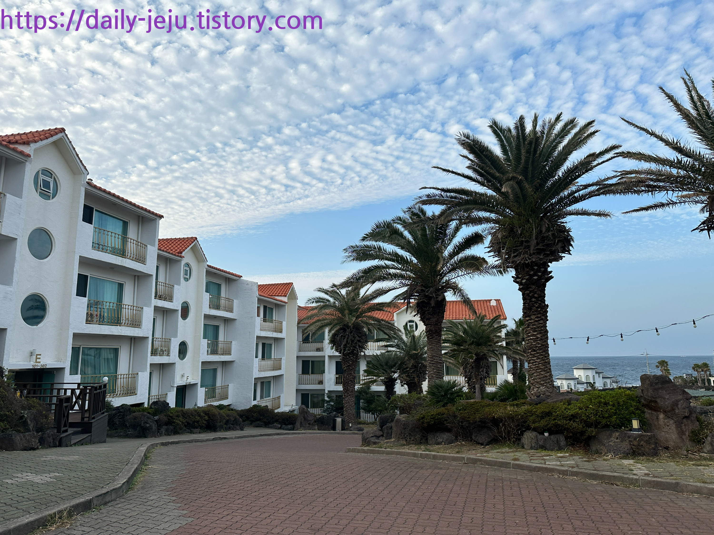 제주 애견 동반 숙소 가성비 좋은 빌레리조트