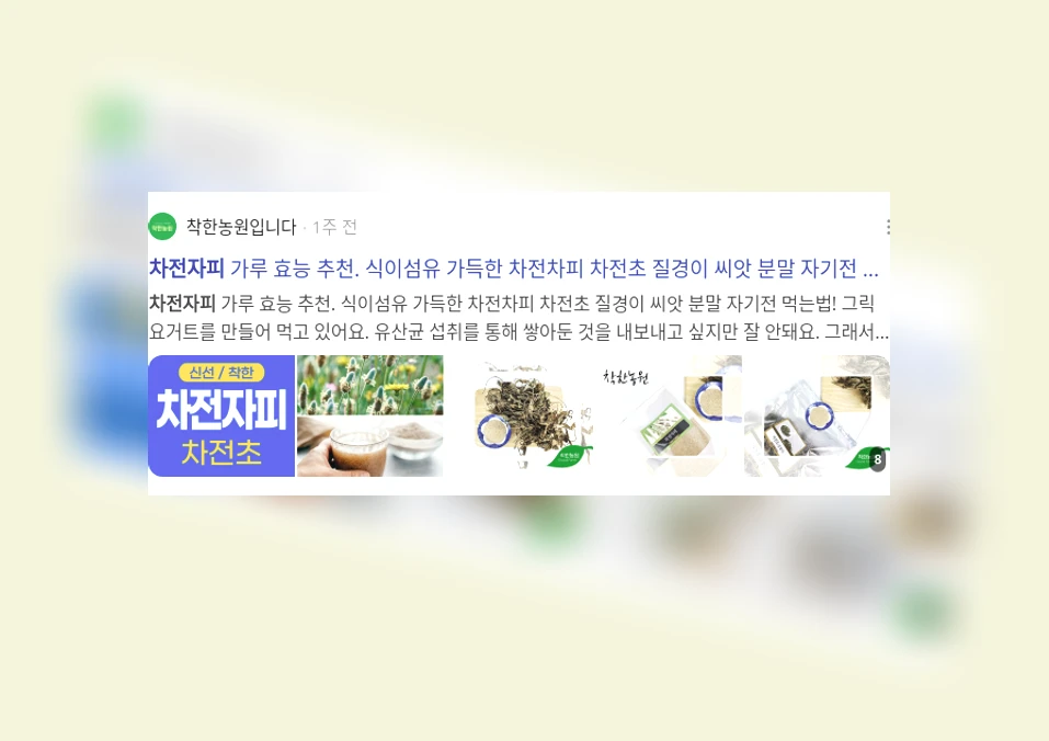 차전자피_2_subsection