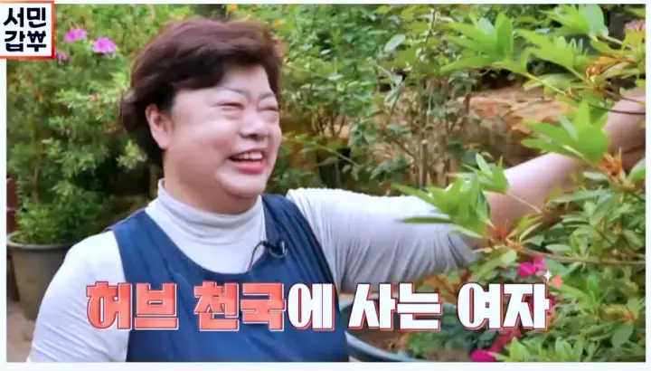 서민갑부 포천 허브 테마 농원 카페 레스토랑 위치 어디