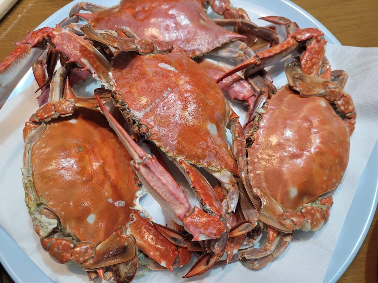 살이 꽉찬 꽃게찜