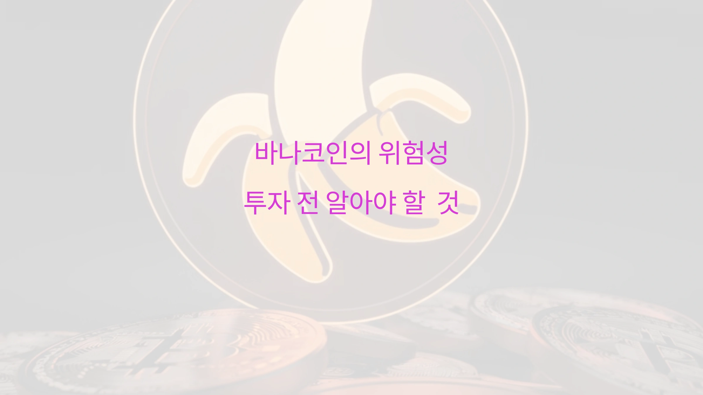 바나코인의 위험성 투자 전 알아야 할 모든 것