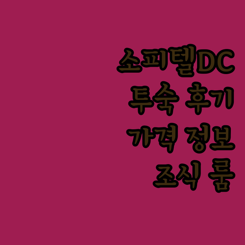 소피텔 라파예트 스퀘어 워싱턴 DC 
