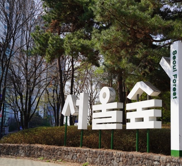 벚꽃
