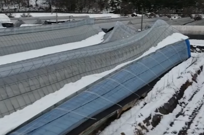 특별재난지역 선포 기준과 혜택 재난지원금 신청 방법