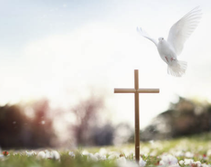 사망신고시 필요한 서류 신고방법 기한 등 알아보기(24년 Ver)