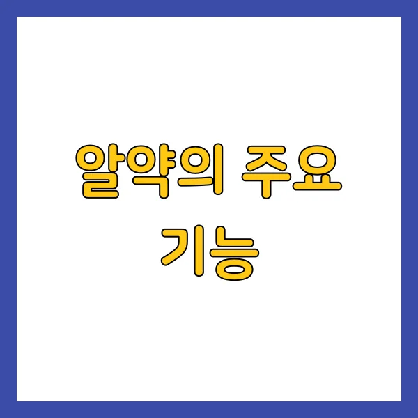 알약의 주요 기능