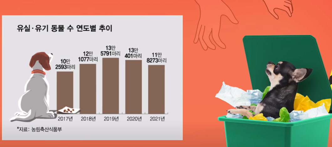 주인에게 버려지고 있습니다.