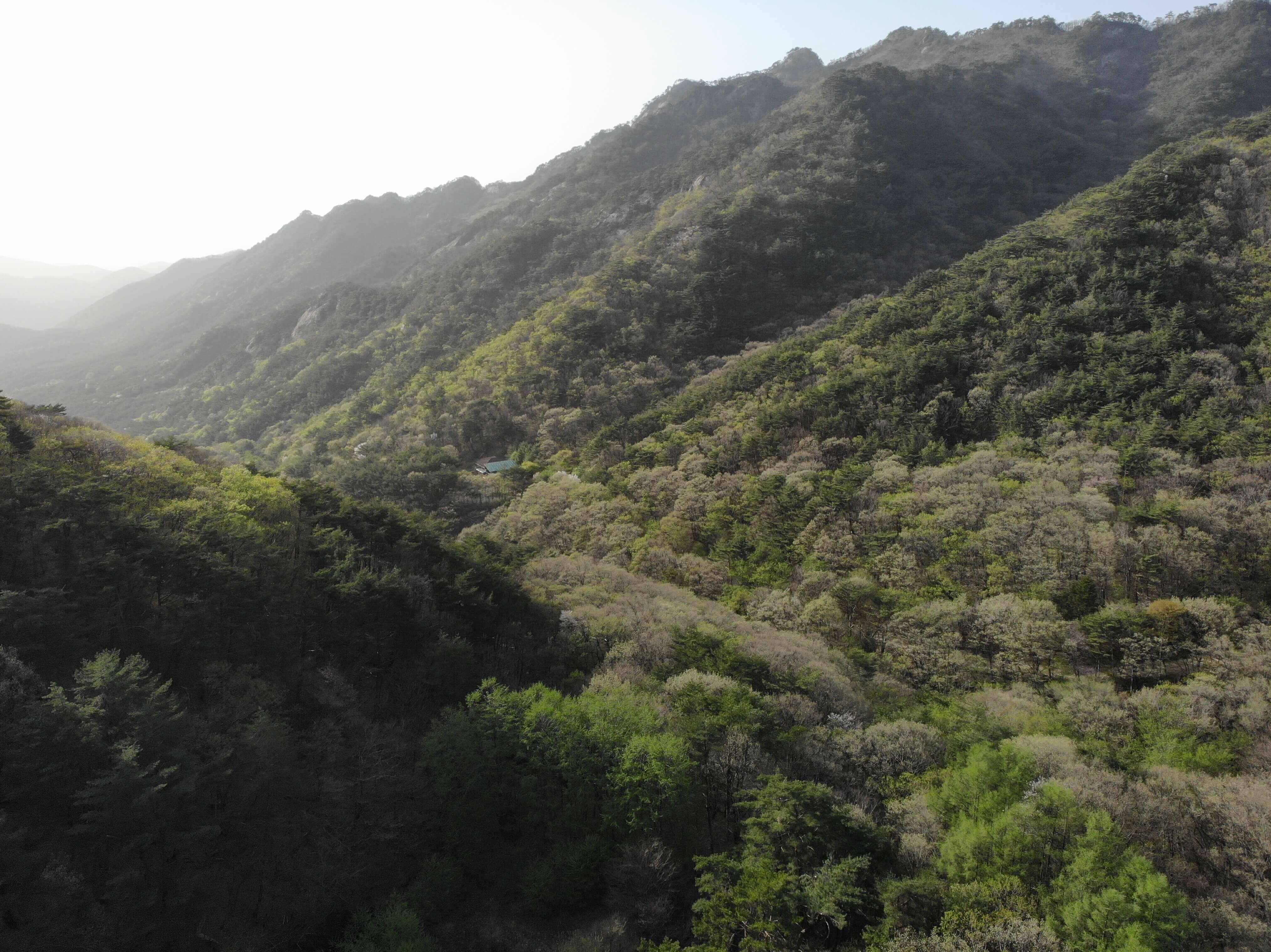 조령산휴양림전경