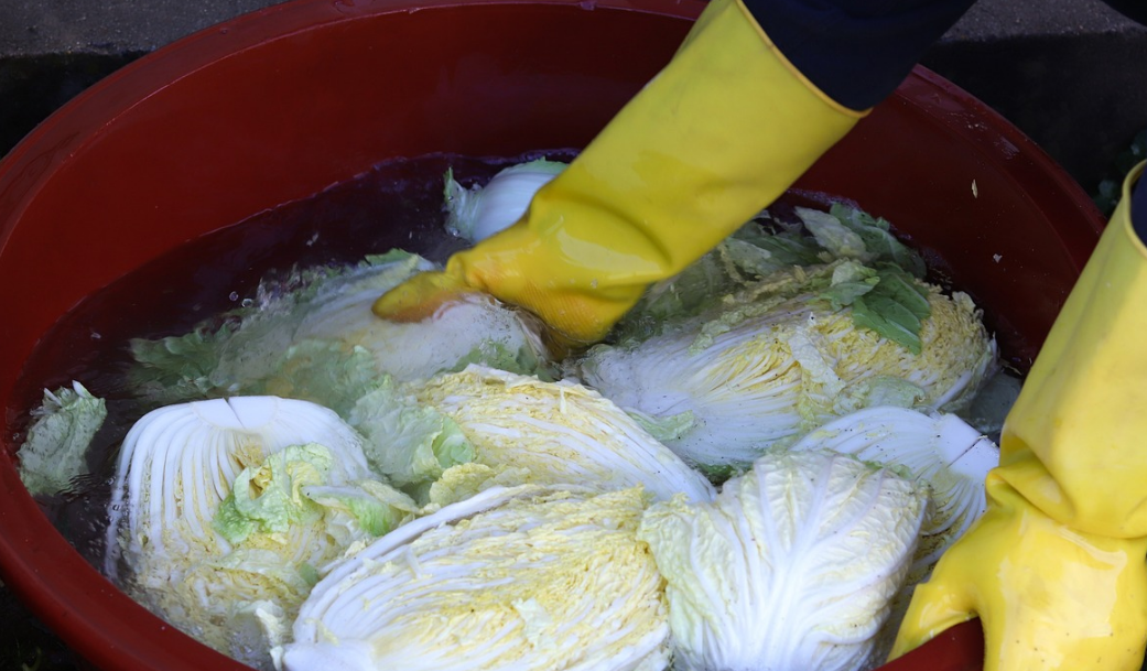 절임배추 20kg과 10kg 구매 시 배추 포기 수와 추천 김장 정보